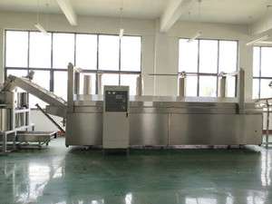 單網(wǎng)帶油炸機(jī)